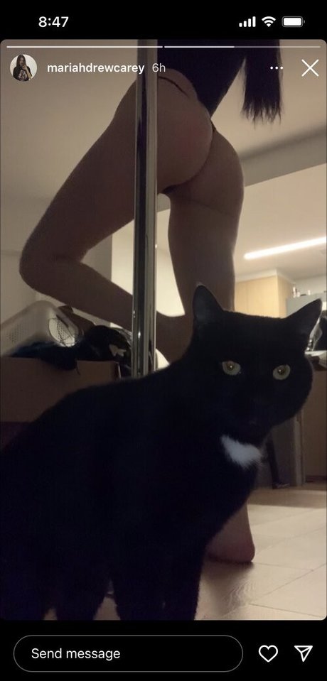 Boobsandbeef