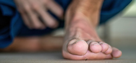 Macrocole