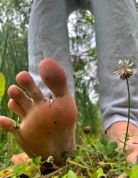 Macrocole