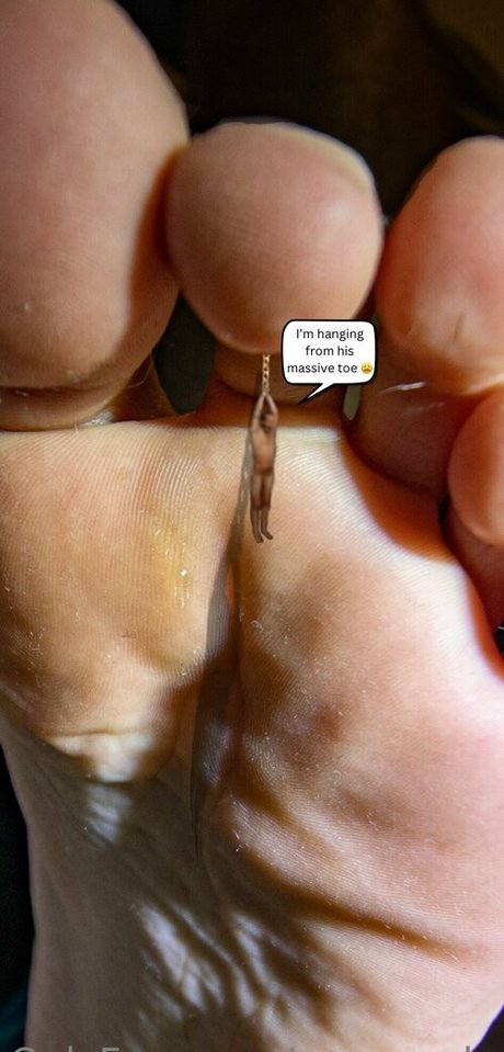 Macrocole