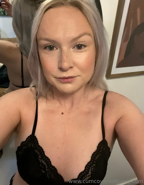 Bunnycovered