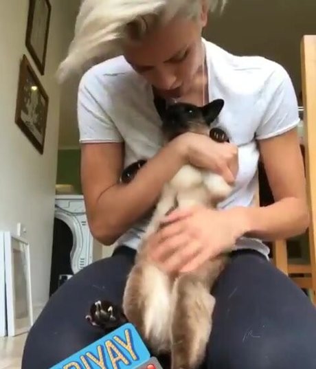 Wallis Day