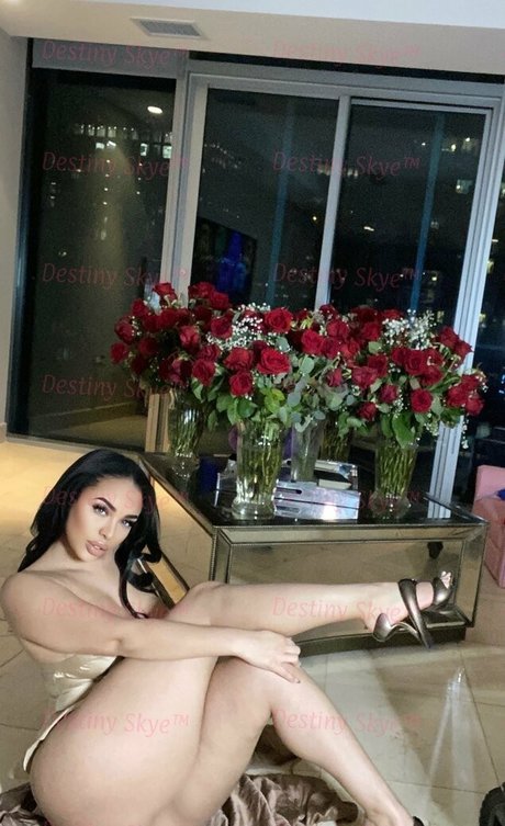 Destinyskye