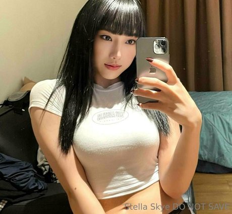 Vipstellaskye