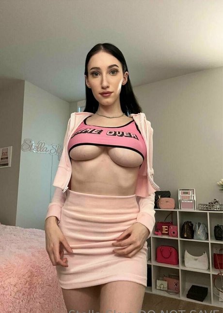 Vipstellaskye