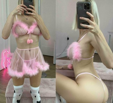 Vipstellaskye