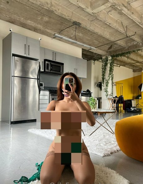 Vmynguyen