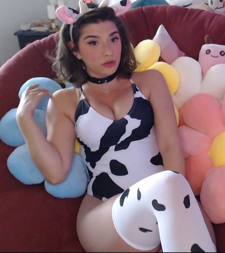 Invadervie