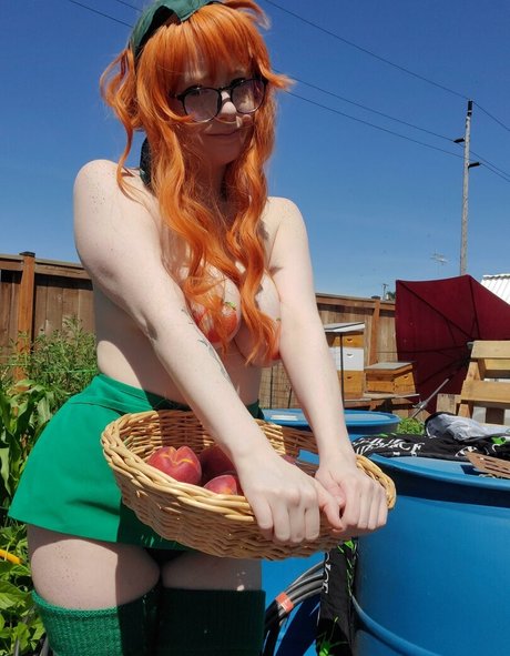 Tentagothicca