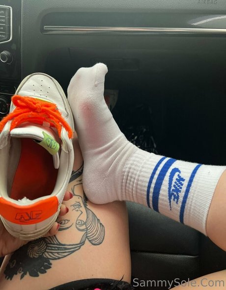 Sammysole
