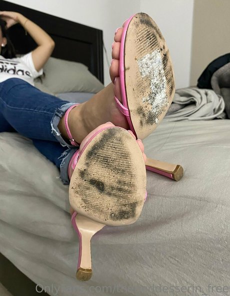 Thegoddesserinfree
