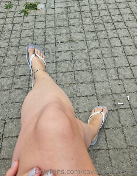 Cavalierifeetfree