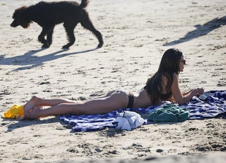 Jordana Brewster