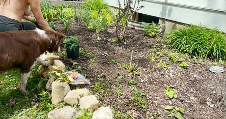 The Naked Gardener