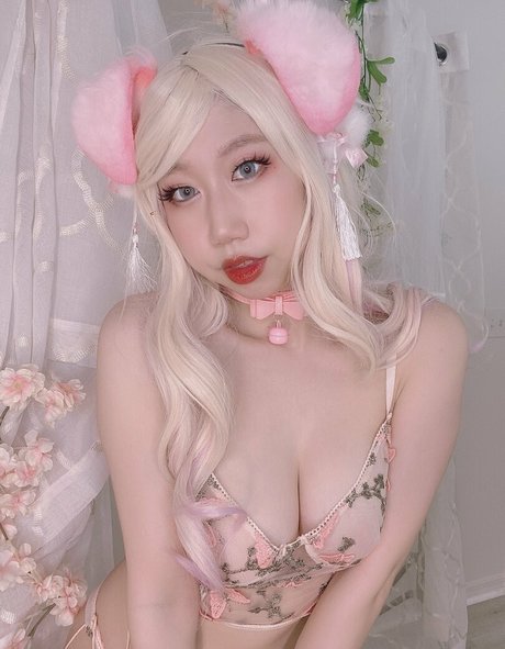 Danisaurz