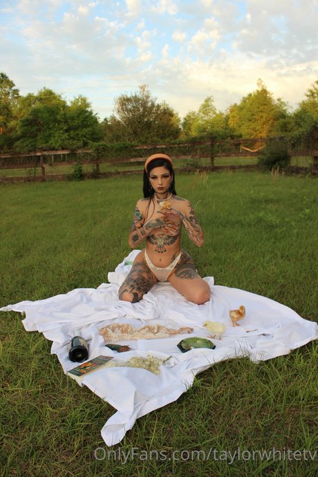 Taylor White