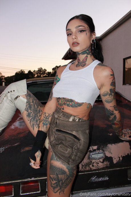 Taylor White