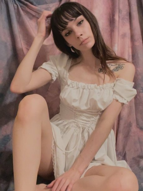 Bel0vedbambi