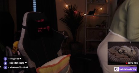 Asmr Darling