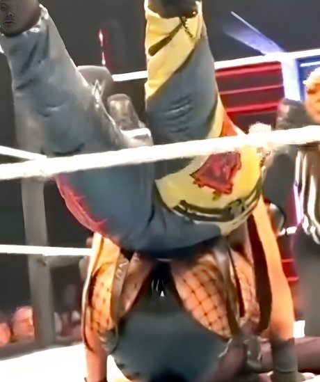 Bayley