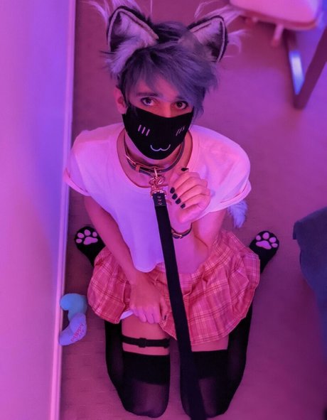 Femboypup