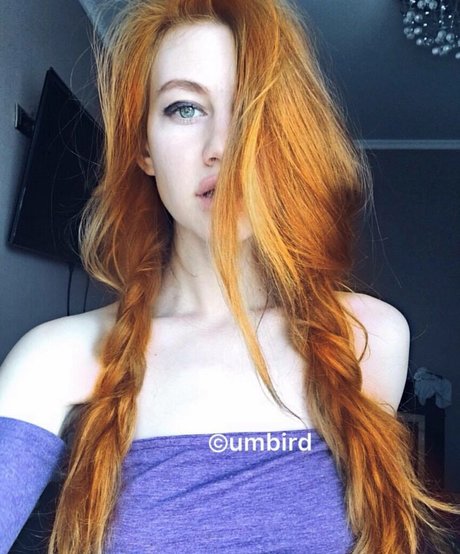 Umbird