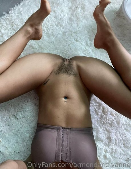 Armendarizvanne