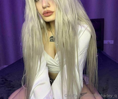 Littleharleyq