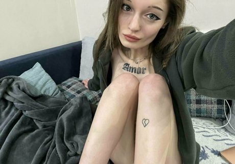 Littleharleyq