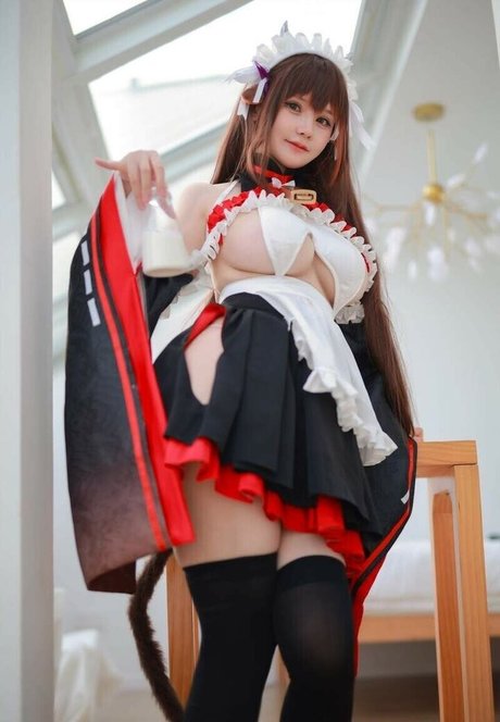 Rissoft