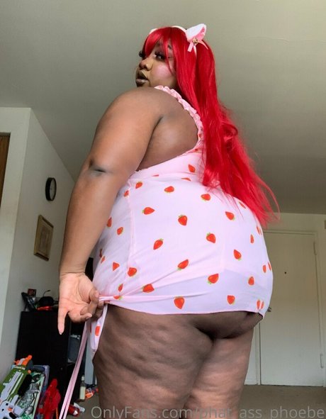 Phatassphoebe