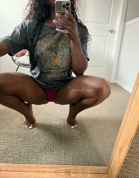Terra Olivia Vip