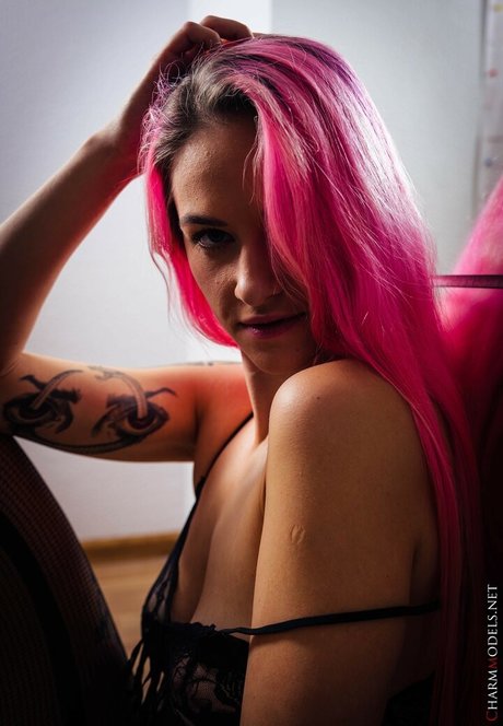 CharmModels