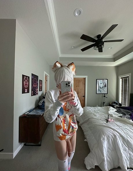 Catboiaoi