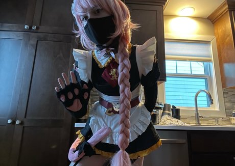 Catboiaoi