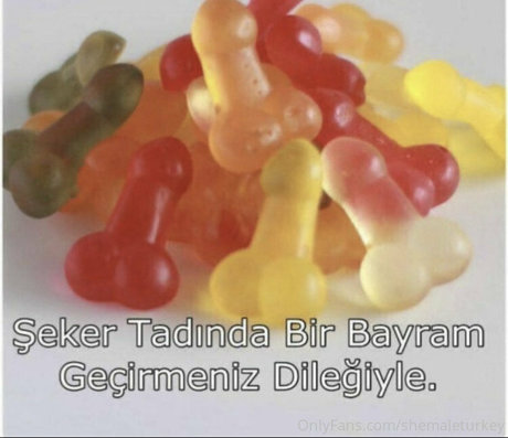 Shemaleturkey