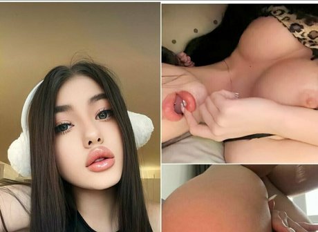 Anitamaylis