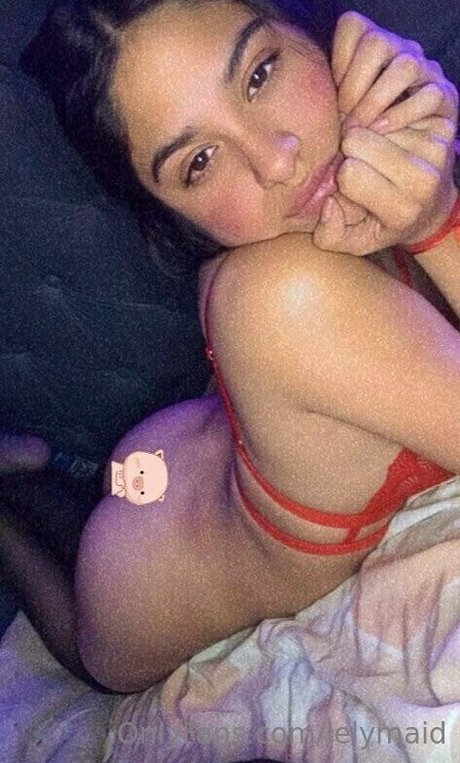 Lelymaid  nude leaked OnlyFans photo