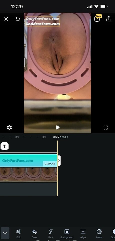 Goddessfarts