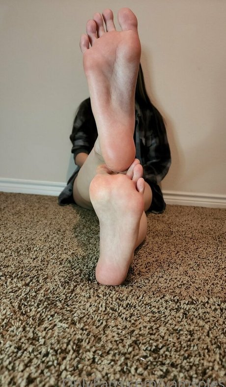 Yamsoles