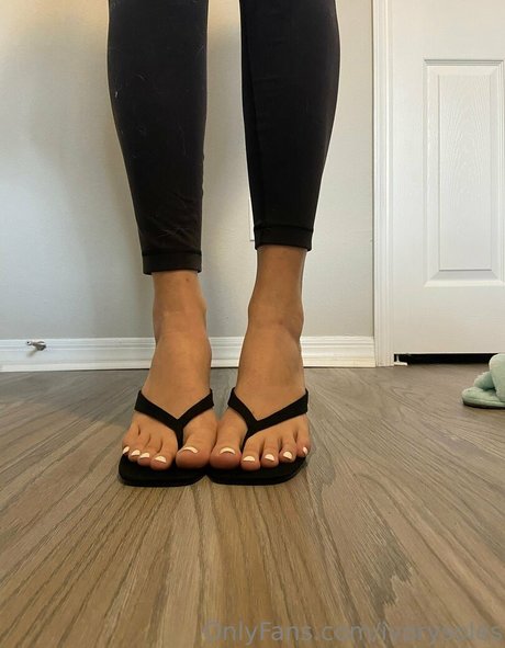 Ivorysoles