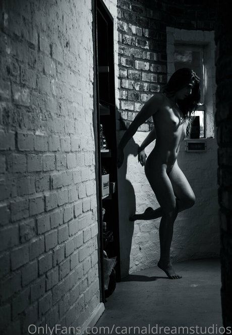 Carnaldreamstudios