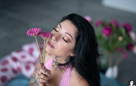 Alerose