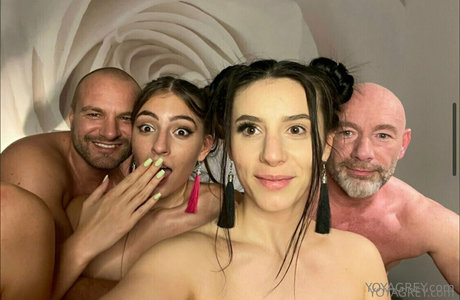 Thegreysvip