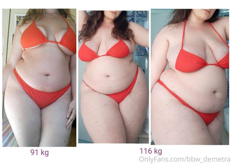 Bbwdemetra