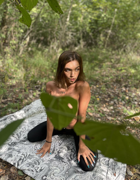 Sophiestorms