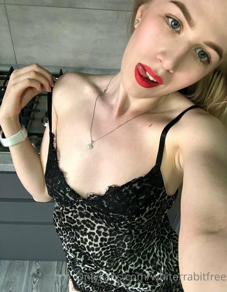 Whiterrabitfree
