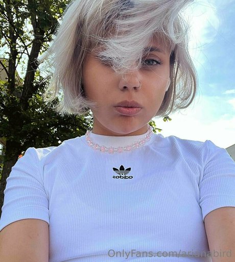 Arianabird