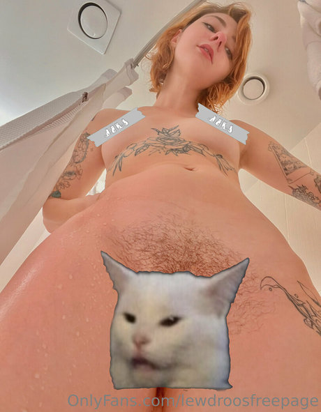 Lewdroosfreepage