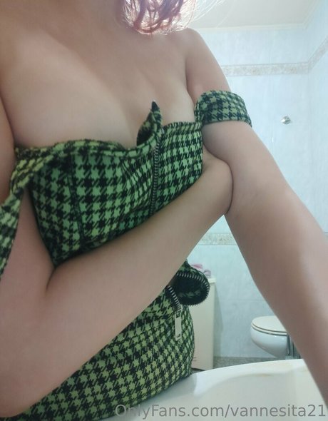 Vannesita21